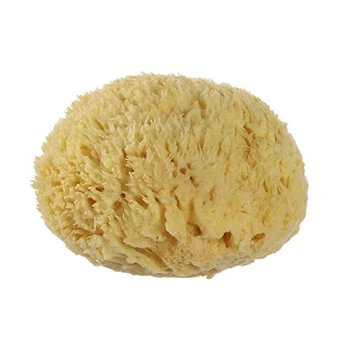 2.5-7 inches All Natural Renewable Sea Wool Honeycomb Sea bath Sponge