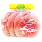 Screw Cap Pouch Fruit Peach Jelly Drink Packaging Screw Cap Pouch Special-Shaped Nozzle Bag