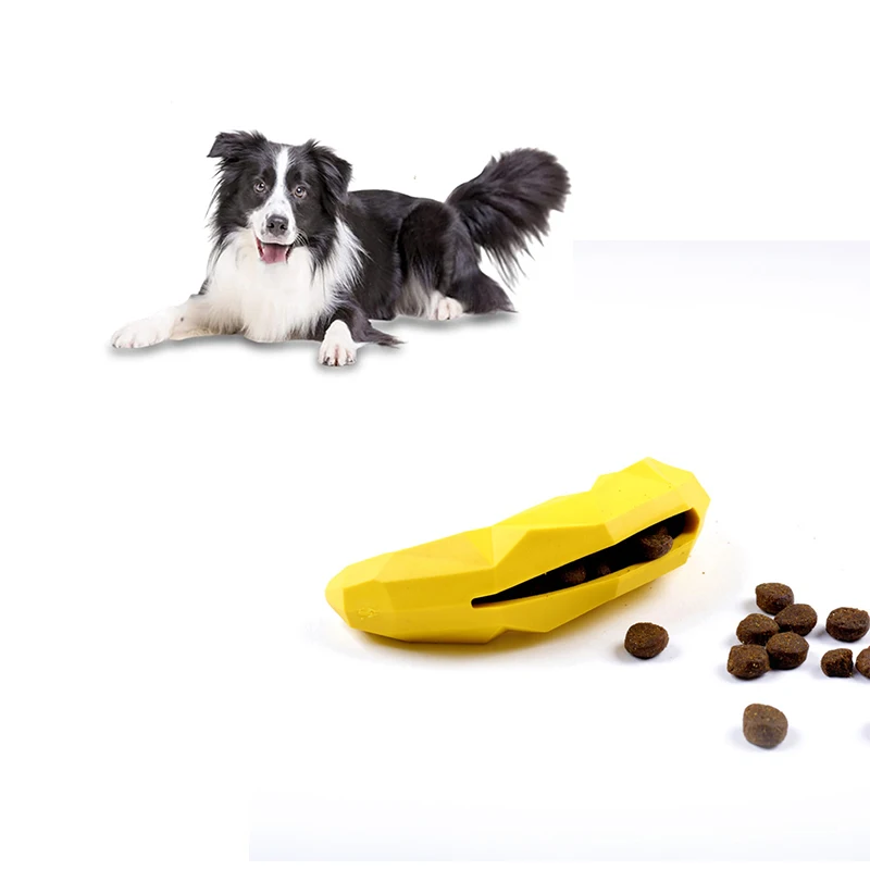 are bananas good for the border collie