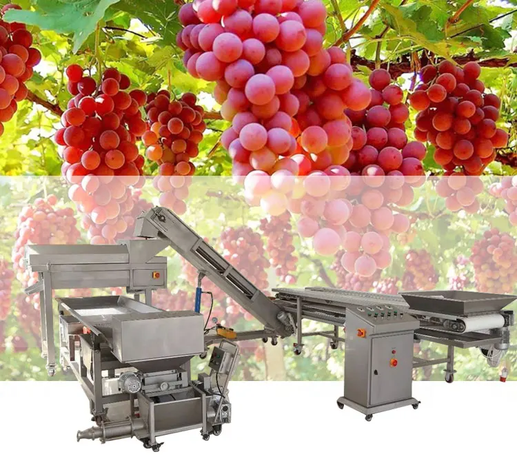Pneumatic Fruit Grape Press With Closed Tank Winery Equipment Machine factory