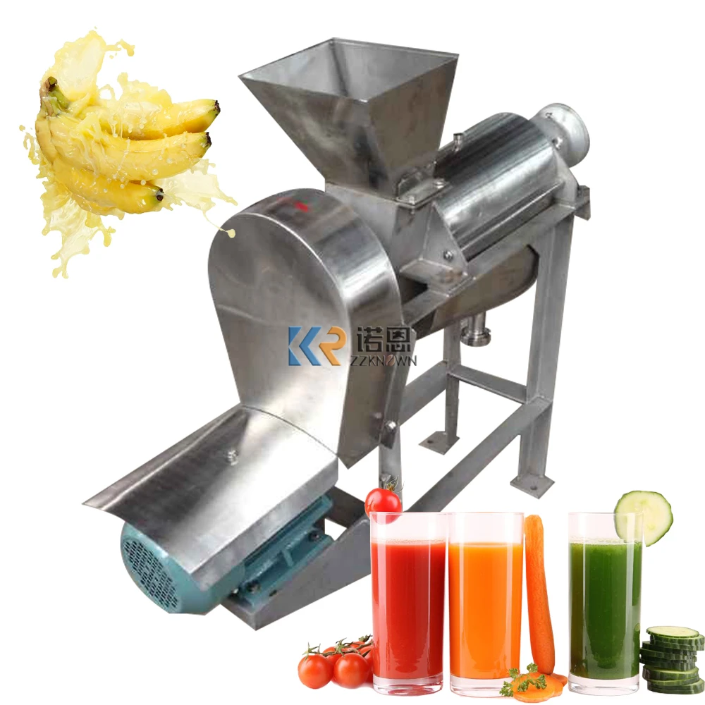 T H Electric Screw Fruit Vegetables Press Juicer Extractor Machine