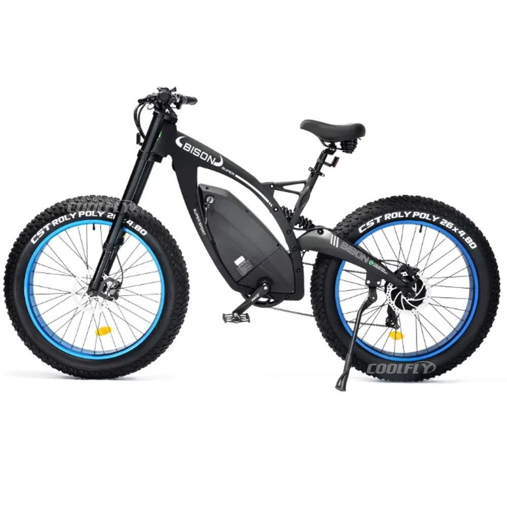 fat bike new model