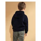 Boy Hoodie Low Moq Japanese Thickened Boy Unisex Custom Made Hoodie