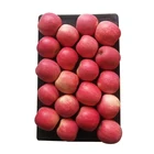 Red Seeds Red Red Shaanxi Fushi Fresh Native Fruit Apple Tree Seeds