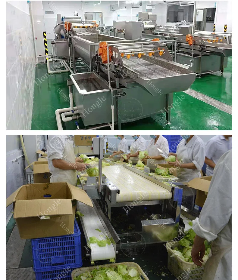 Dehydrator Fruit And Vegetables Packing Peeling Cutting Washing Processing Machines N Vegetable Slicer Cutter Chopper factory