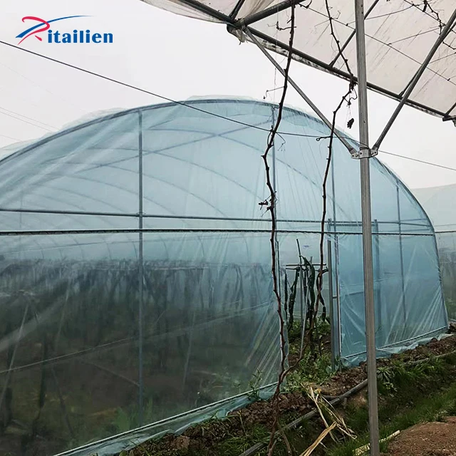 Galvanized Steel Frame Easy To Install Vegetable Agricultural