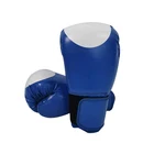 Gloves Top Sale ISO Certificate Best Discount Personalized Boxing Bag Glove Manufacturer From China