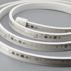 Waterproof Led Light Led Led Waterproof Strip Lights IP65 Waterproof Outdoor Use High Voltage Strip Led Light