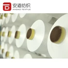 Filament White Fancy Yarn Polyester Filament 300D/96F NIM Raw White