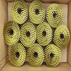 Nails Wire Nail Coil Nails CLAVOS HELICOIDALES MANUFACTURER 2 1/4''x.099'' WIRE PALLET COIL NAILS