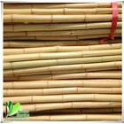 Farming Bamboo Bamboo Bamboo Pole Raw Natural Large Raw Farming Bamboo Pole Price