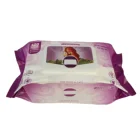 Pet Hot Selling Product Eco Friendly Biodegradable Pet Cleaning Wipes Dog