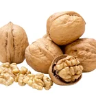 Nuts Bulk Packing Walnut Nuts With Shell