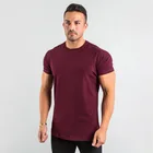 95%cotton 5% Elastane Custom Private Logo Fitness Gym Wear Sports Apparel Plain Blank Men T Shirt