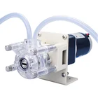 Mini Transfer Peristaltic Pump 12v Small DC 12v Mini Peristaltic Pump For Liquid Transfer