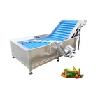 Juice Cleaning Tomato Lettuce Washing Machine Carrot Juice Vegetable Cleaning Machine