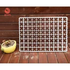 Competitive Price Plastic Egg Tray with 88 Eggs for Sale
