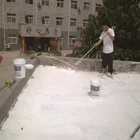 Coat Waterborne Ceramic Heat Insulation Top Coat Paint Coatings