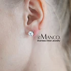 Zircon Zircon Stud Earrings Stainless Steel Stud Earrings Fashion Gold Earrings For Women