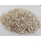 Sea Shell Shell 2021 Wholesale Natural Crushed Sea Shell Pearl Shell Chips