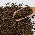Seed Tea Attractive Price New Good Cassia Seed Tea Cassia Seed For Herbal Tea