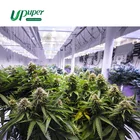 UPuper Quality Hydroponic Rock Wool CM15 Pro Hydroponic Sponge For Multispan Greenhouses Glass House
