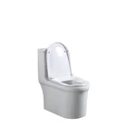 Modern Luxury Double Punch Water Ceramic Automatic Toilet Toilet Bowl Ceramic