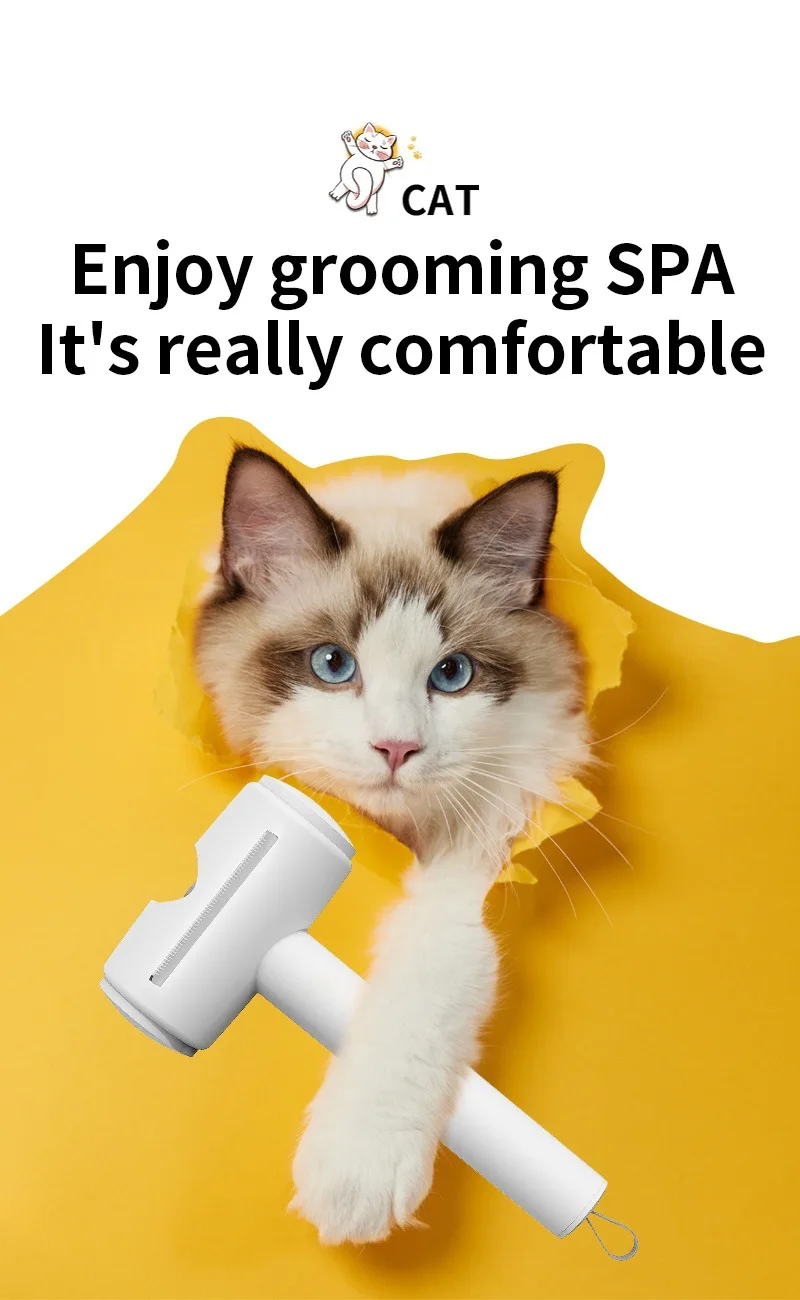 New 4-in-1 Pet Stainless Steel Close Tooth Brush for Cat and Dog Hair Removal Kit Pet Supplies factory