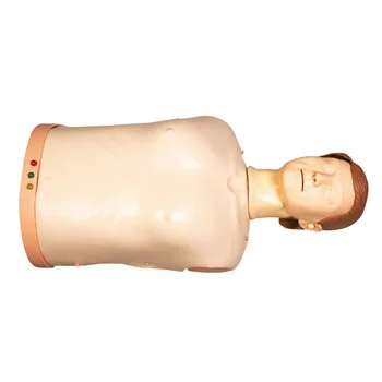 GD/CPR10175 General Doctor High Quality Half-Body CPR Simulator for Training, CPR Training Manikin