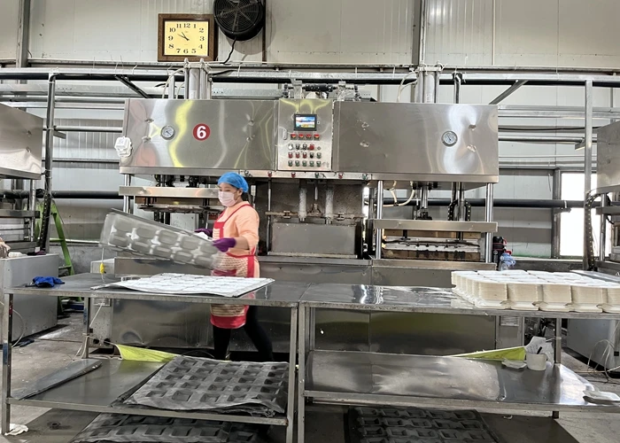 Automatic Biodegradable Disposable Paper Dish Tableware Making Machine with Sugarcane Bagasse Pulp details