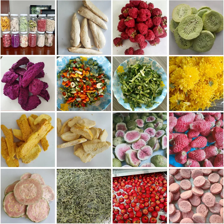 GS drone pupa powder meat/fruit/vegetable 50 kg per batch freeze-drying machine 20 Hcc125809e96242cab225ab596ba67316X GS drone pupa powder meat/fruit/vegetable 50 kg per batch freeze-drying machine