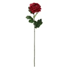 Chrysanthemum Natural Realistic Tropical Gerbera Chrysanthemum Flowers Home Indoor Artificial Importers For Decoration