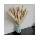 Decor SP-0030 Small Dry Pampa Grass Decor Pampa Grass Dried Small Pampas Grass