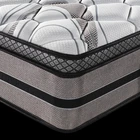 Mattress Foam 9-zone Individual Pocket Spring Memory Foam Latex Super Comfortable Modern Mattress