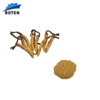 Cordycep Sinensis Natural Organic Pure Wild Cordyceps Sinensis Extract