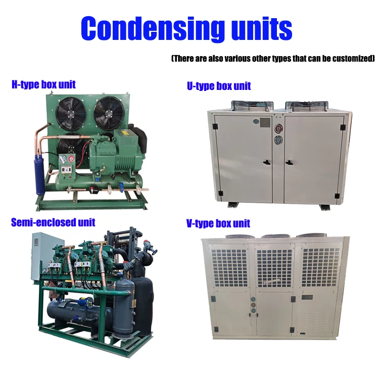 Blast Freezer, 220 V, 50tons - detail 2