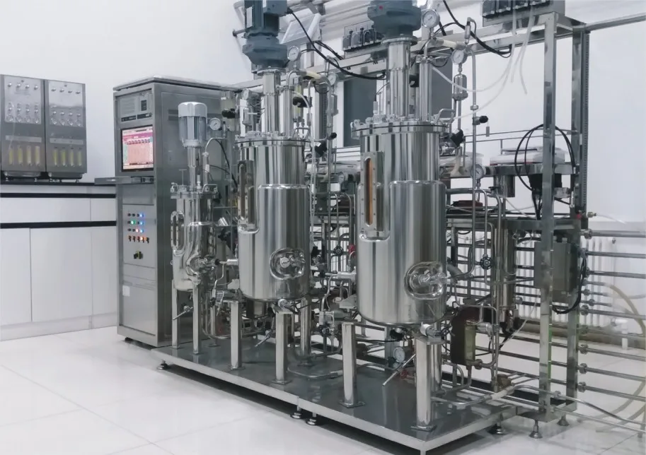 Customizable Fermenter Bioreactor L L L L For Cell