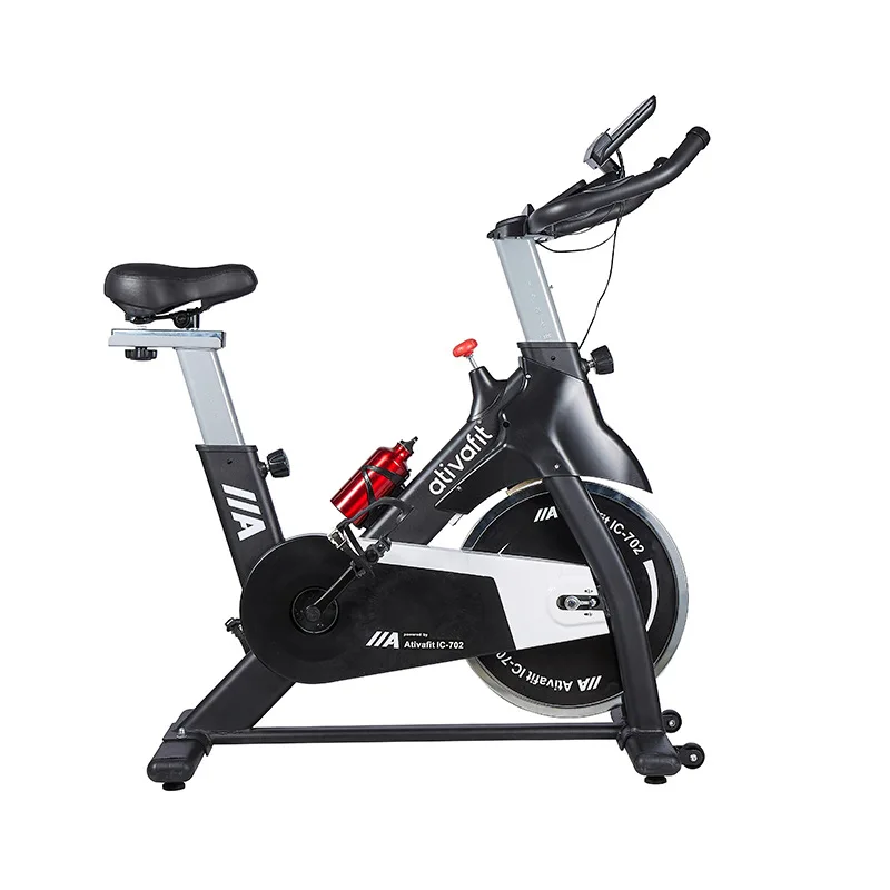 freewheel exercise bike