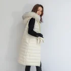 Winter Long Coat Winter New Women Faux Fur Sleeveless Vest Long Hoodies Jacket Coat