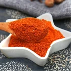 Spice Condiment Powder Red Pepper Spice Powder Fried Chicken Meat Marinade Seasonging Fast Food Mixed Condiment