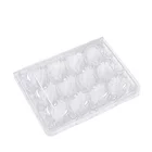 Hot Sale High Quality Cheap Widely Used PET Common Quail Egg Tray 12 Packs By OEM