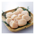 Japanese Fresh Frozen Artificial Bay Seashells Fresh Seafood