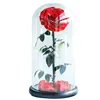 Size M Glass 10 cm rose