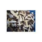 Whole Sale Fungus Wild Porcini Mushrooms IQF Boletus Edulis Yunnan Wild Fresh Mushirooms