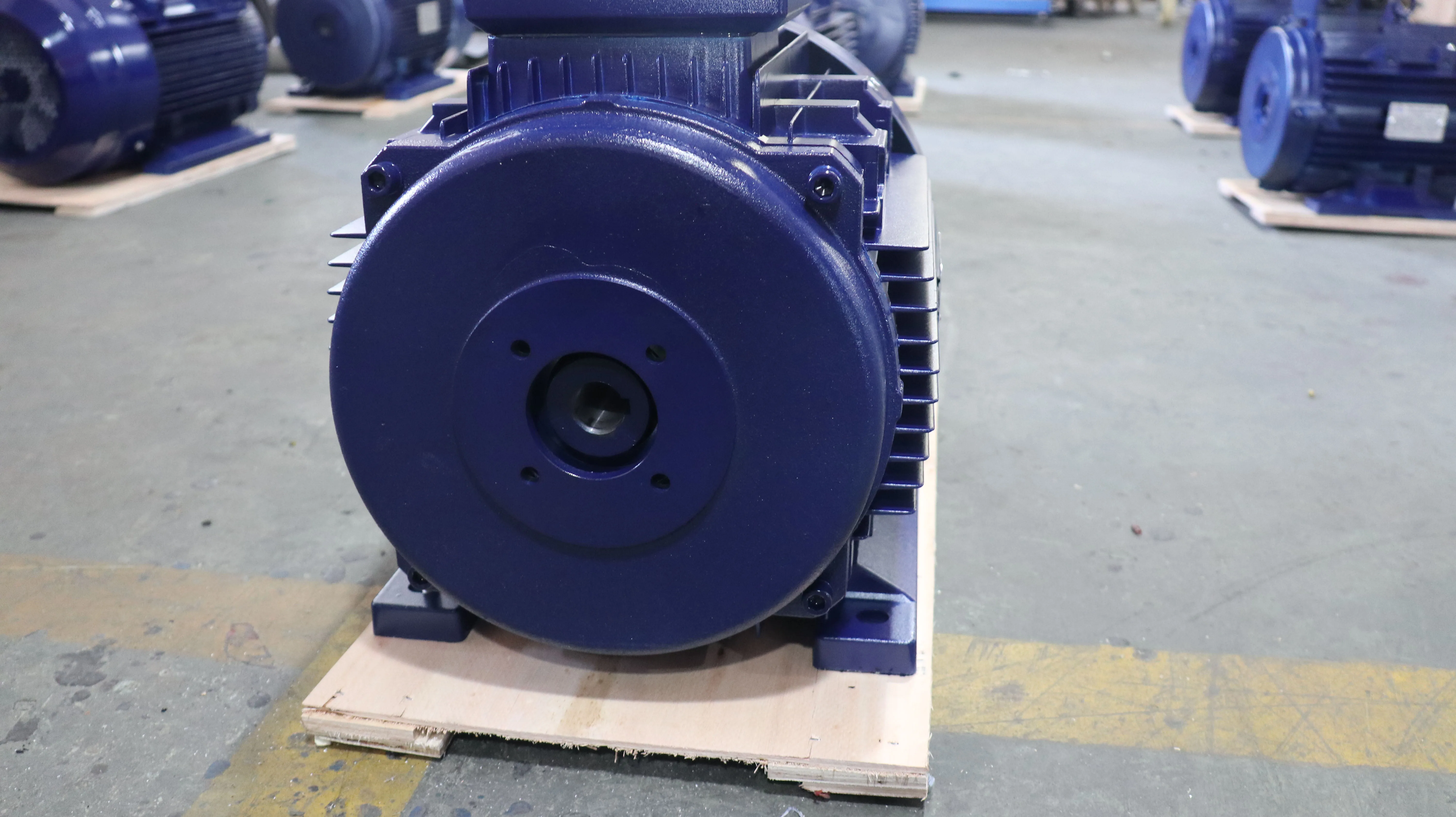 30HP 22KW AC Electric Induction Motors 24mm Hollow Shaft 1000rpm Three-Phase 50Hz Frequency 380V AC Aluminium 60Hz Enclosed 2