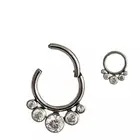 Piercing Jewelry 316L Stainless Steel Hinged Segemtn Ring Body Piercing Jewelry With CZ Stone