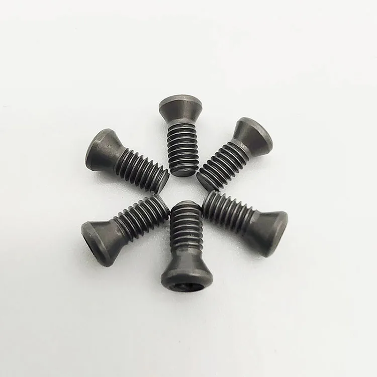 torx screw (2).jpg