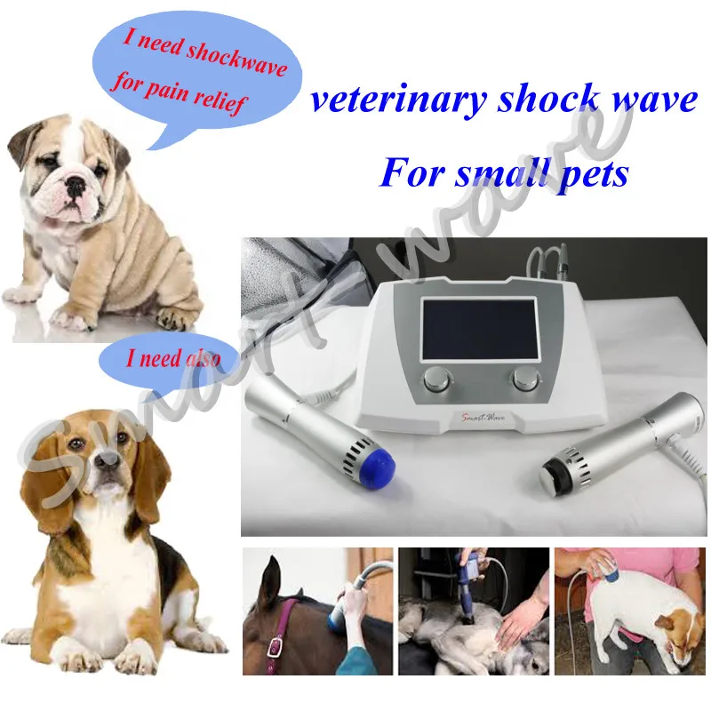 radial shockwave therapy device BS-SWT2X.jpg