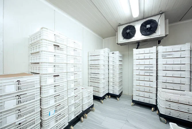 Cold Room Storage, AC 220 V, 500 W - detail 8