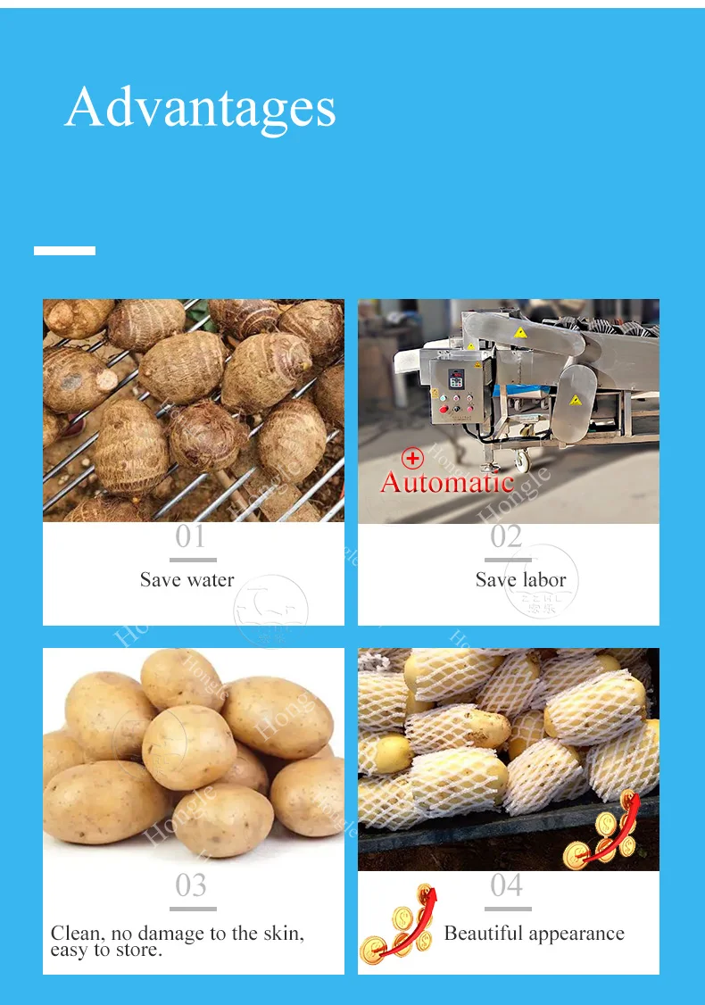 product automatic onion taro peanut sweet potato dry cleaning machine-6